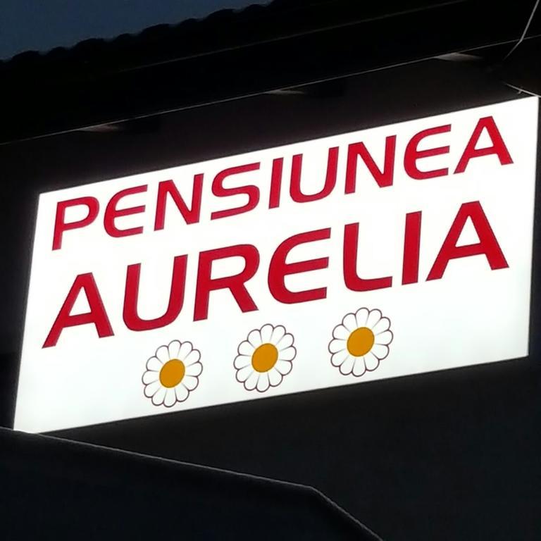 Pensiunea Aurelia Siria المظهر الخارجي الصورة